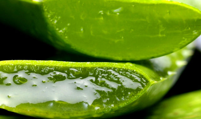 Abbronzatura e Scottature Prova l’ALOE